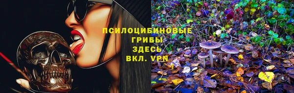 герыч Алексин