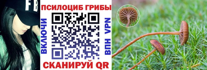 Псилоцибиновые грибы Magic Shrooms цена Старая Русса