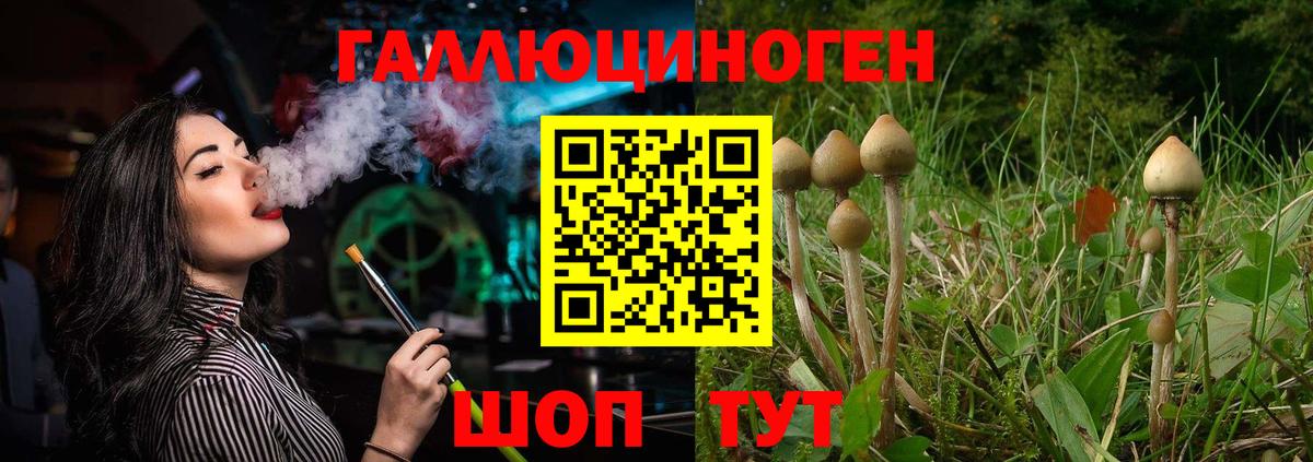 Старая Русса  Псилоцибиновые грибы GOLDEN TEACHER  Вход с VPN 